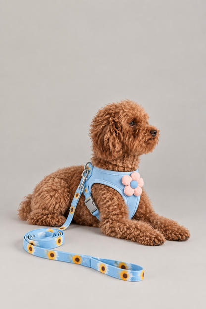 Sunflower mesh small dog harness – view 4