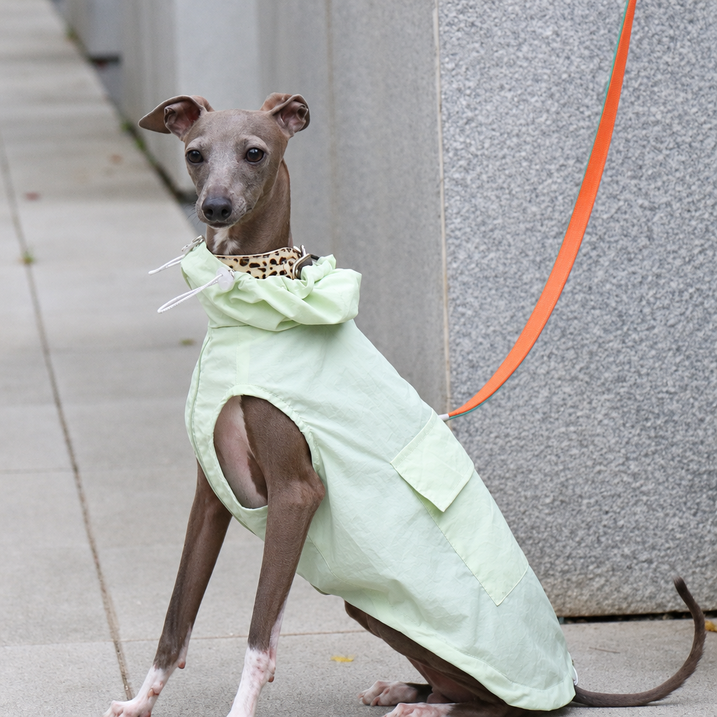Lightweight Waterproof Sun Vest for Italian Greyhounds and Whippets – Thin Summer Dog Vest, S to 4XL