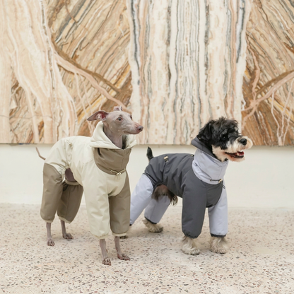 Autumn Colour-Block Four-Leg Dog Jacket