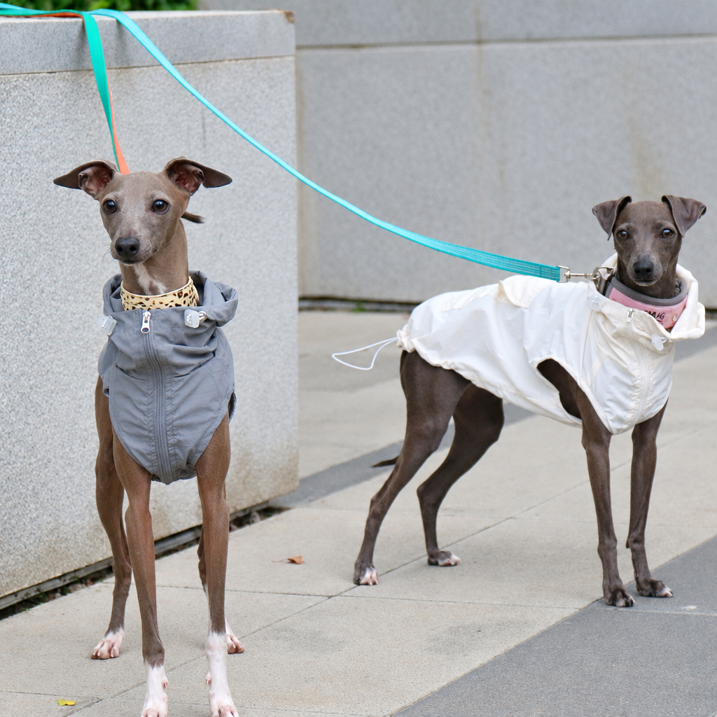 Lightweight Waterproof Sun Vest for Italian Greyhounds and Whippets – Thin Summer Dog Vest, S to 4XL