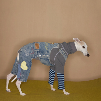 Denim Dog Overalls with Paw Patch – Blue, Sizes 1–5