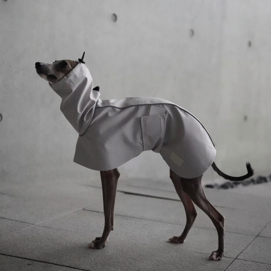 Explore High-Neck Dog Raincoat – Black, White or Dark Green