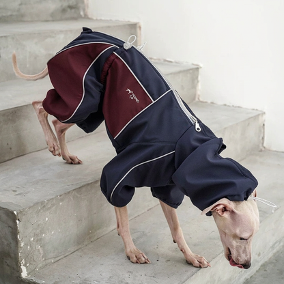 Everyday Love Weather-Resistant Onesie for Dogs