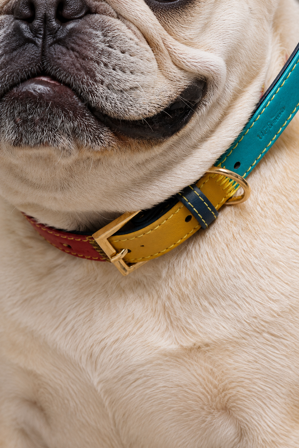 Two-tone PU dog collar – view 6