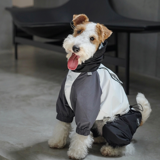Barrier Four-Leg Dog Raincoat – Blue or Green