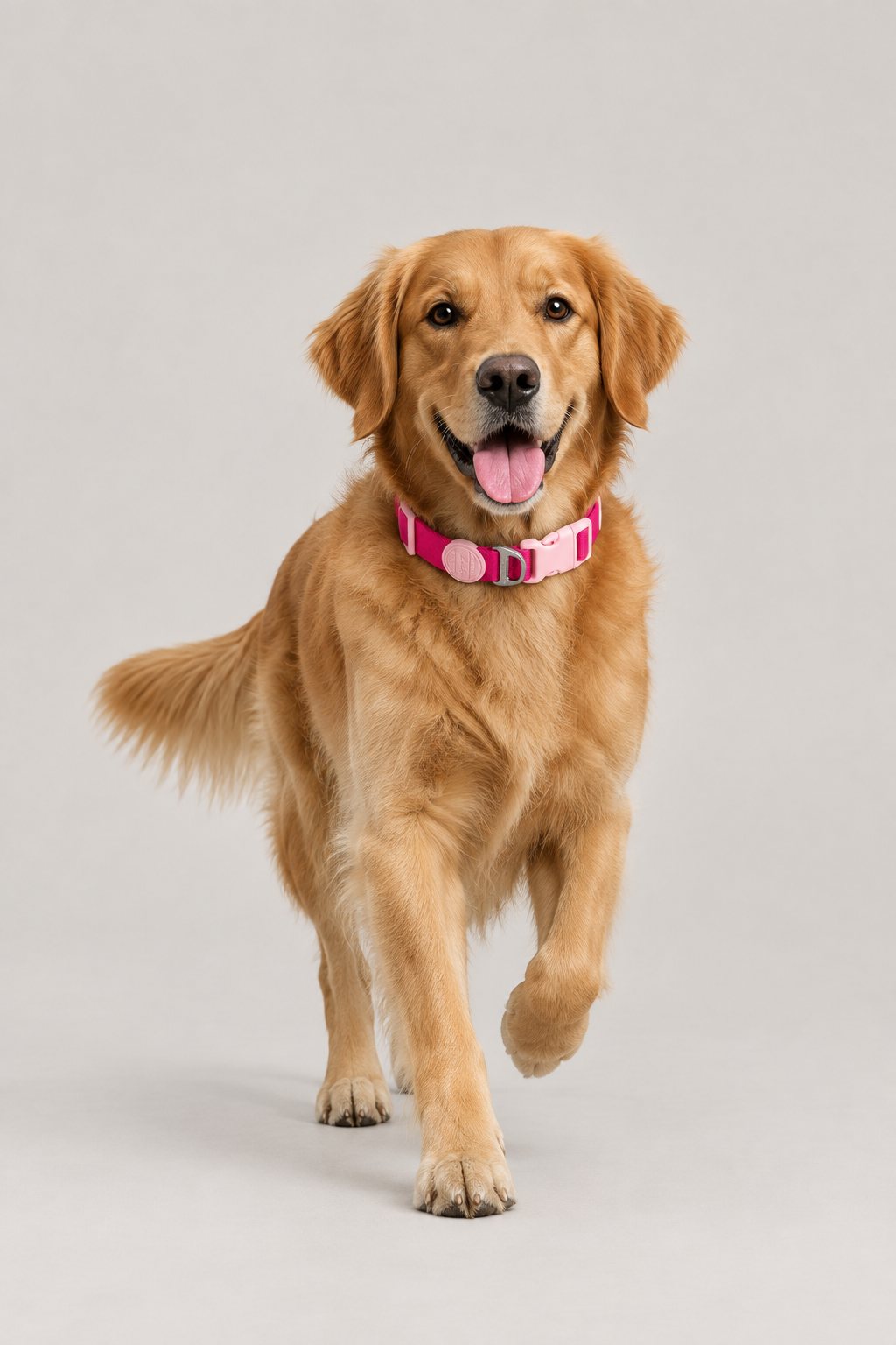Padded quick-release puppy collar – view 2