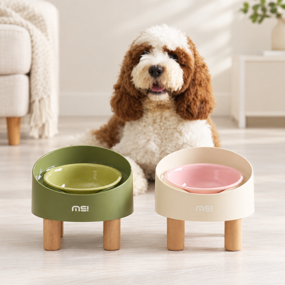 Dog behind green and cream raised pet bowls with wooden legs