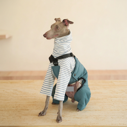 Seated grey dog wearing Blue Winter Workwear overalls with black straps and rear-leg coverage, styled over a separate grey-striped top.