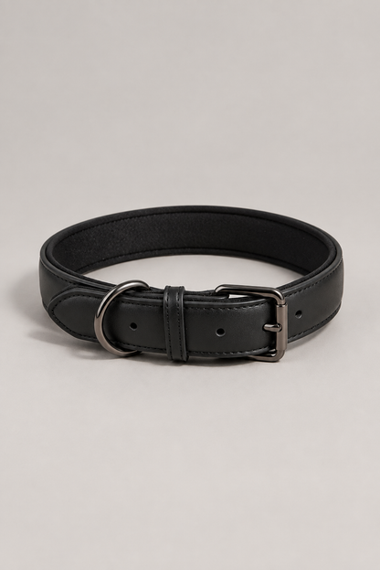 Padded faux leather dog collar in Black