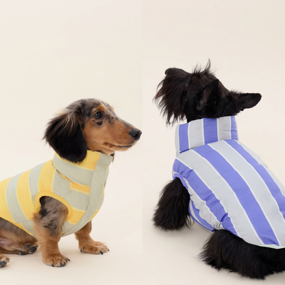 Reversible Striped Dog Vest – Purple or Yellow