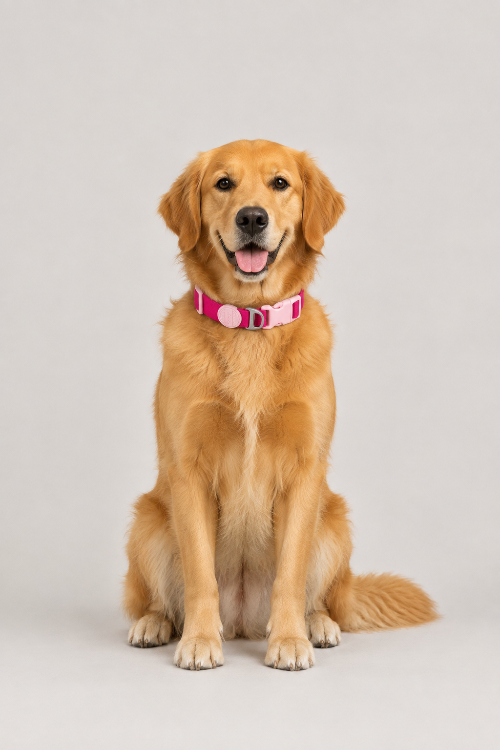 Padded quick-release puppy collar – view 4
