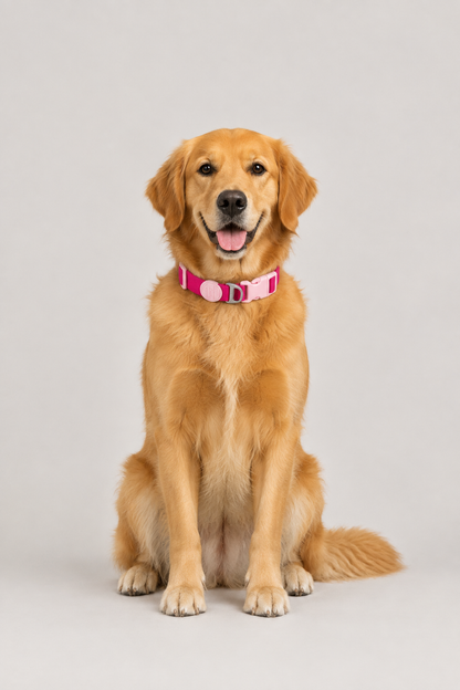 Padded quick-release puppy collar – view 4