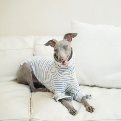 Grey dog resting on a cream sofa in the pale striped long-sleeved Autumn Stripes style, distinct from the vest options currently listed.