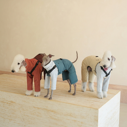 Three dogs wearing Red, Blue and Beige Winter Workwear overalls on a pale platform, styled over separate striped tops.