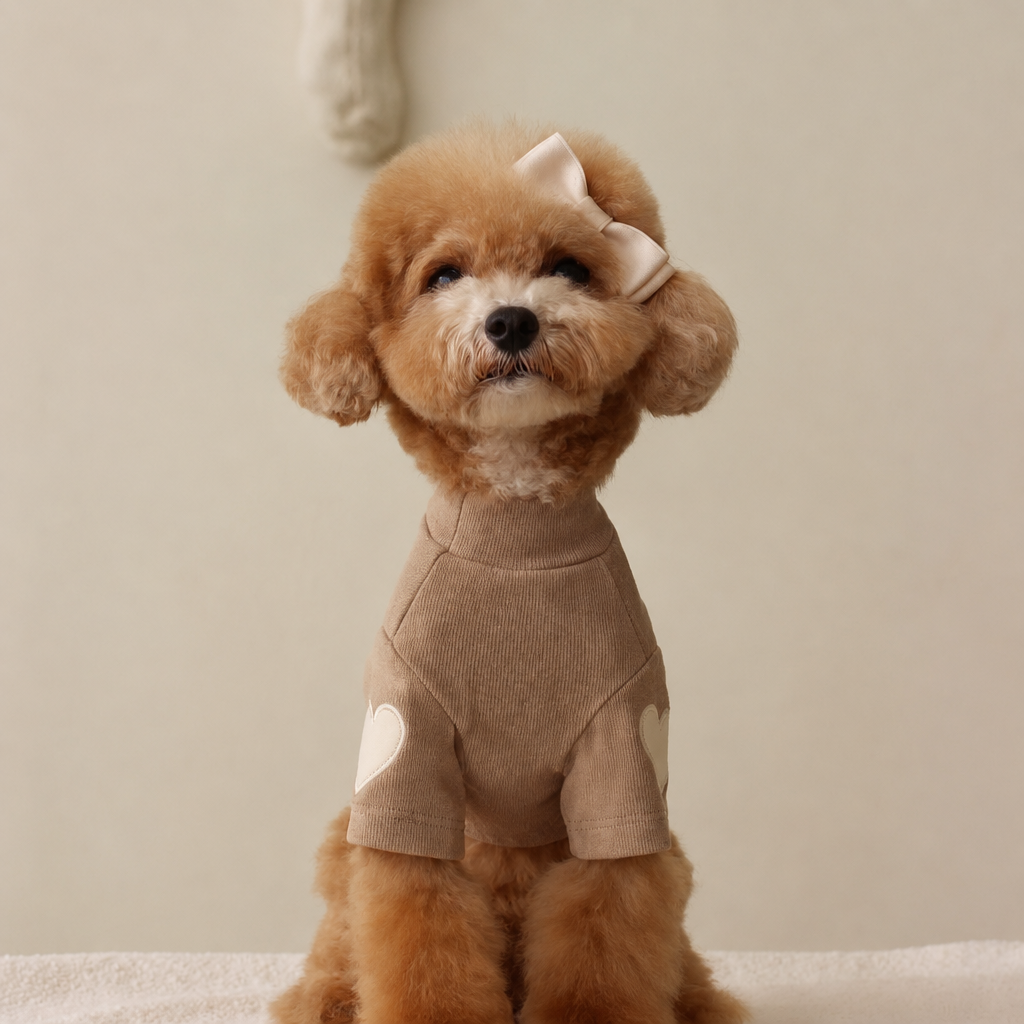 Heart Dog Hoodie – Simple Autumn Hoodie for Small Dogs and Cats, Toy Poodle, Bichon and Yorkie, XS to XL