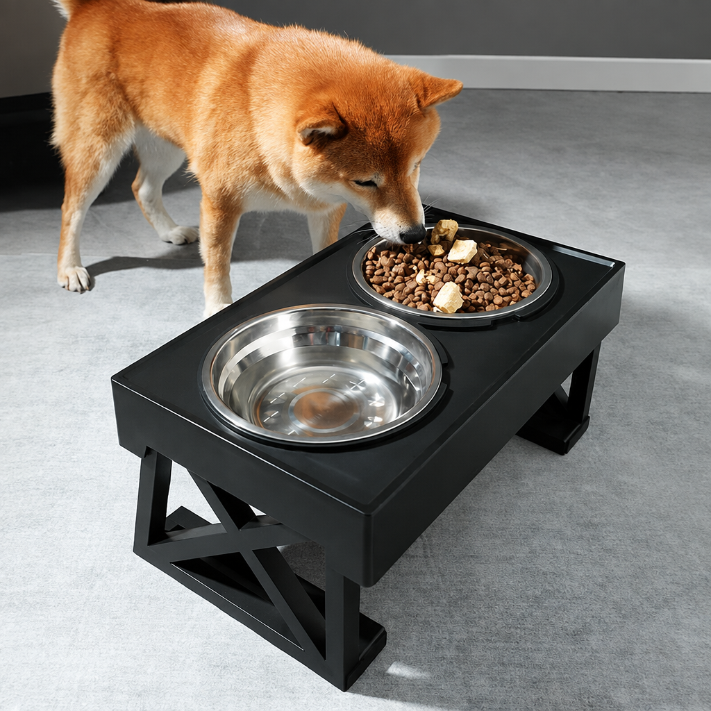 Dog using a black raised food and water bowl stand