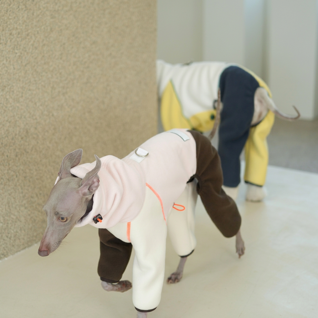 Polaris Colour-Block Four-Leg Dog Jumpsuit