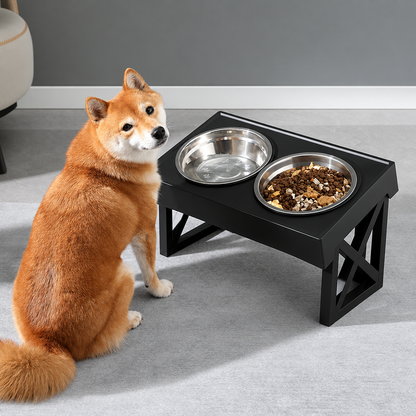 Dog sitting beside a black raised double feeder