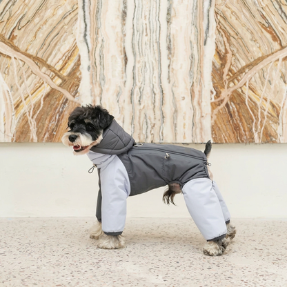 Autumn Colour-Block Four-Leg Dog Jacket