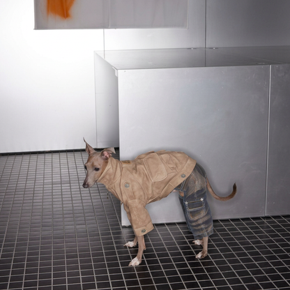 Urban Moto Suede Jacket for Dogs