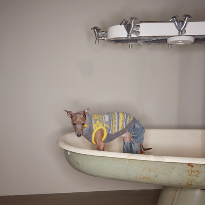 Dog wearing the grey and yellow Love You, Mum knitted jumper in a vintage sink, styled with separate denim trousers.