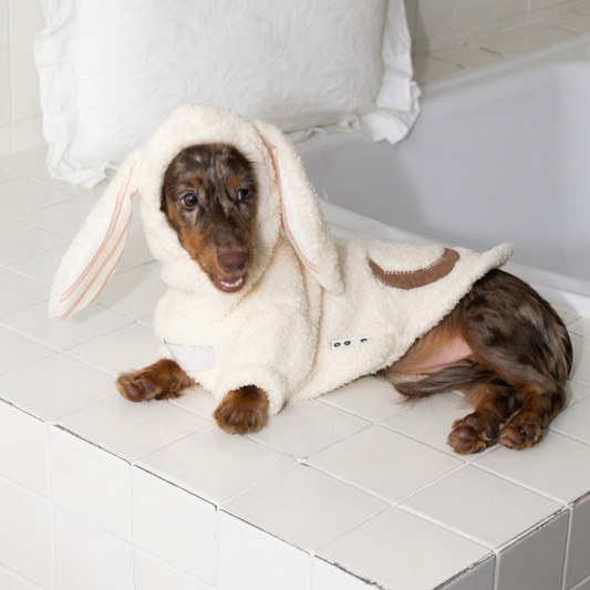 Fluffy Bunny-Ear Dog Hoodie – White