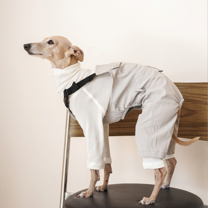 Dog standing on a chair wearing White Urban Explorer rear-leg overalls with black straps over a separate white long-sleeved top; top inclusion is unconfirmed.