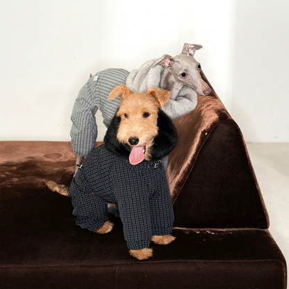 WinterCore Four-Leg Dog Jacket – Grey, White or Navy