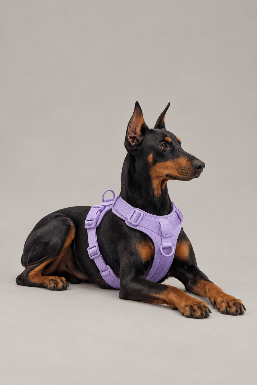 Wipe-clean PVC small dog harness – view 2