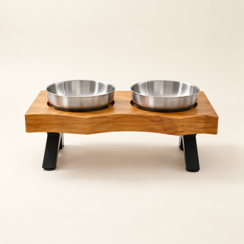 Stainless-steel double feeder studio