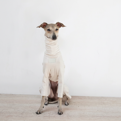 Cosy Stripes Four-Leg Dog Pyjamas – Blue, Pink or Grey