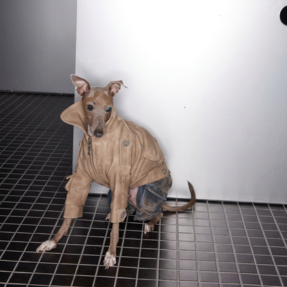 Urban Moto Suede Jacket for Dogs