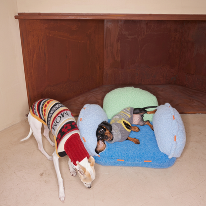 White dog in a red Love You, Mum knit jumper beside a dachshund in grey and yellow resting on a blue dog bed; bed is not included.