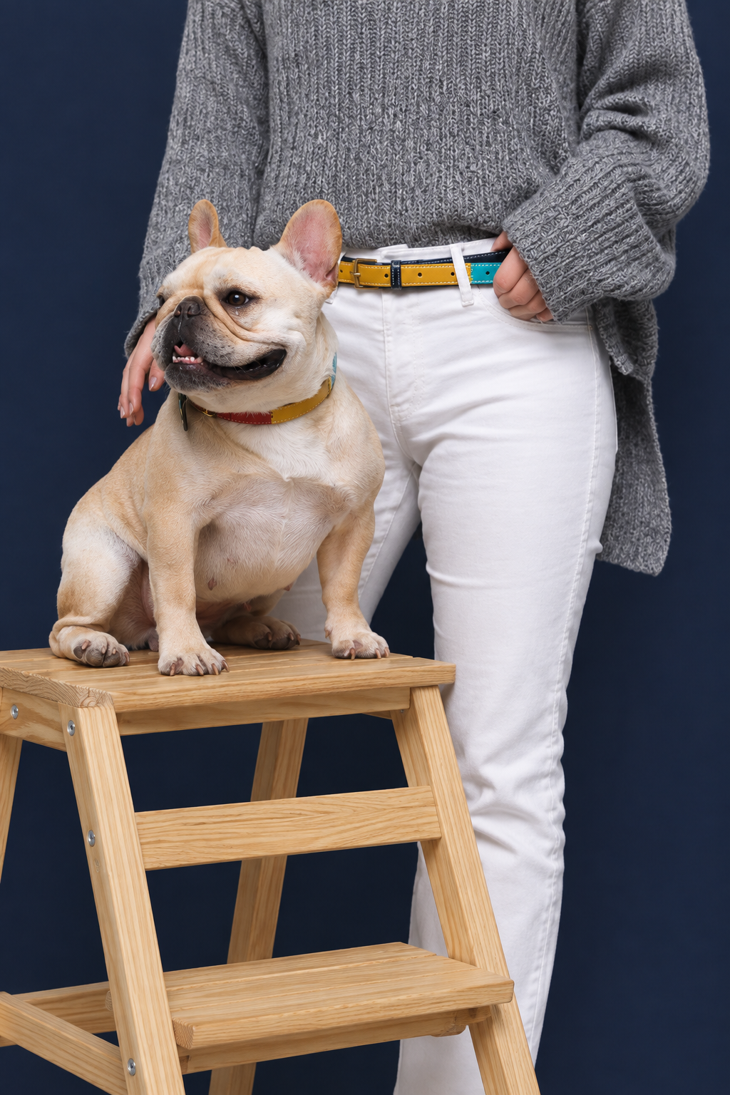 Two-tone PU dog collar – view 3