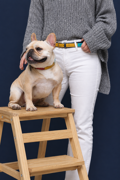 Two-tone PU dog collar – view 3