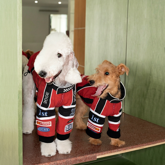 Racing-Style Dog Puffer Jacket – Red
