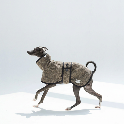 Grey dog walking in the Beige Metropolitan coat, showing brown-taupe flecked fabric, high collar, buttoned strap and sewn labels.