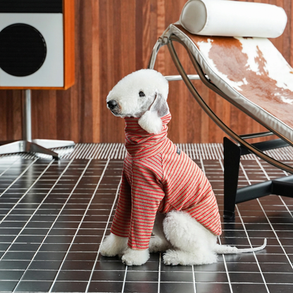 White dog seated beside a lounge chair wearing the long-sleeved brown and red-striped style, not the sleeveless vest offered in this listing.
