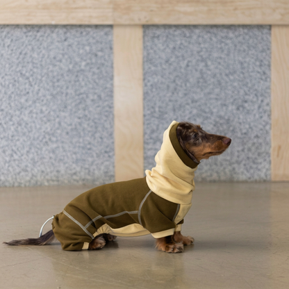Ginger Chestnut Four-Leg Dog Hoodie – Brown and Cream