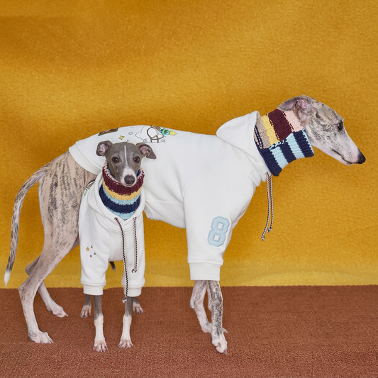 Talo Embroidered Dog Hoodie – White