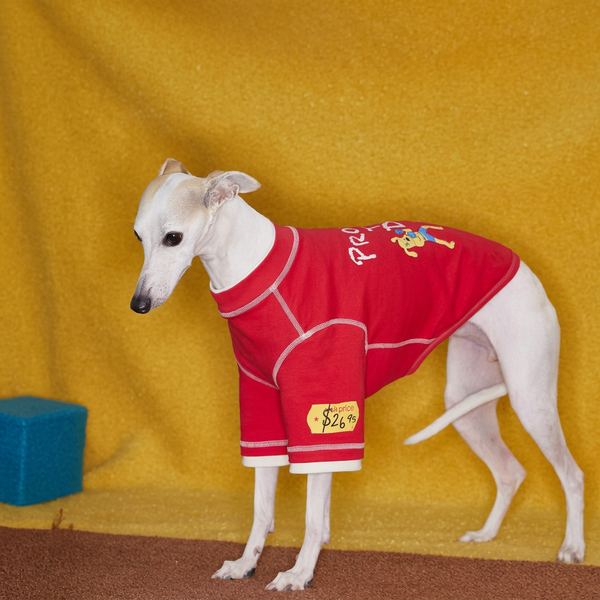 Boxing Embroidered Tee for Dogs