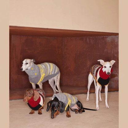 Four dogs wearing Red and Yellow Love You, Mum knitted jumpers beside a wooden bench, showing patterned knit and ribbed collars.
