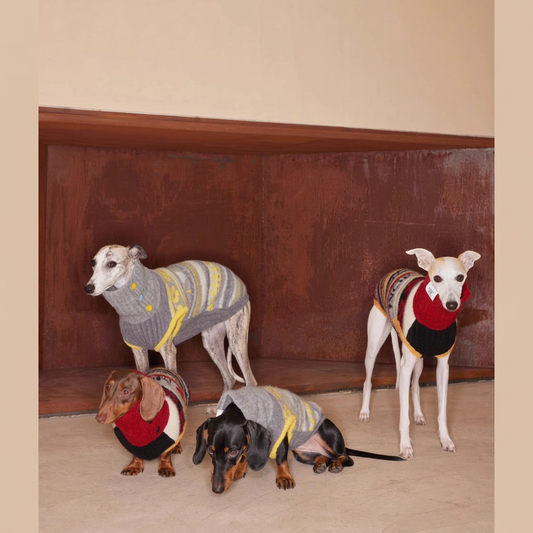 Four dogs wearing Red and Yellow Love You, Mum knitted jumpers beside a wooden bench, showing patterned knit and ribbed collars.