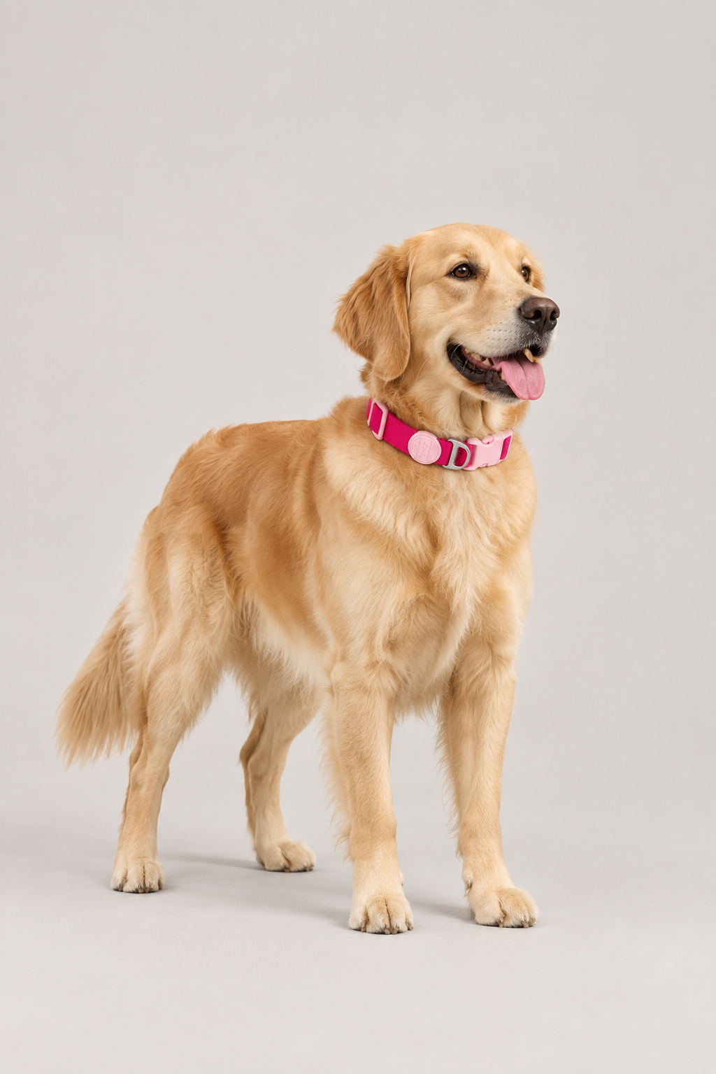 Padded quick-release puppy collar – view 3