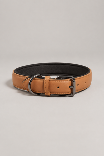 Padded faux leather dog collar in Tan