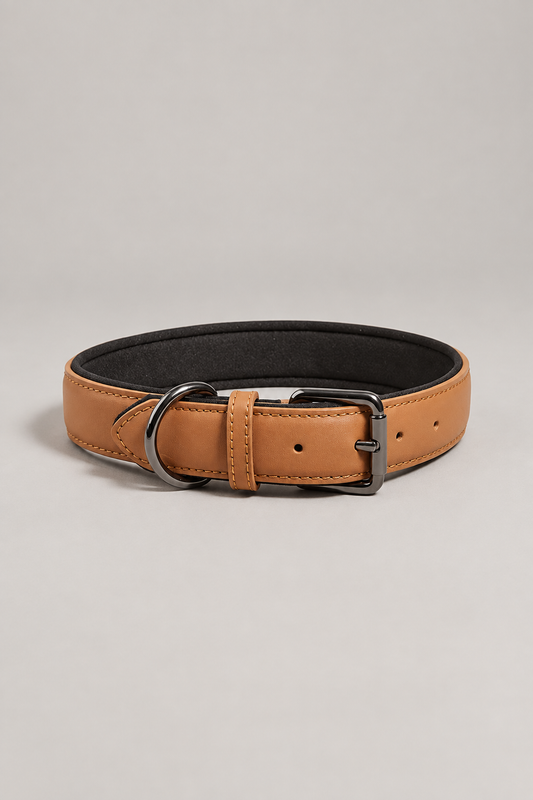 Padded faux leather dog collar in Tan