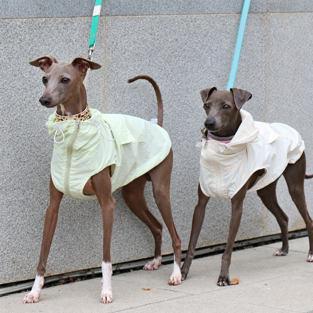Lightweight Waterproof Sun Vest for Italian Greyhounds and Whippets – Thin Summer Dog Vest, S to 4XL
