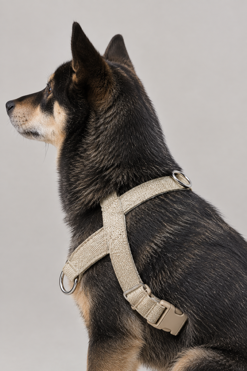 Linen dog harness – view 2