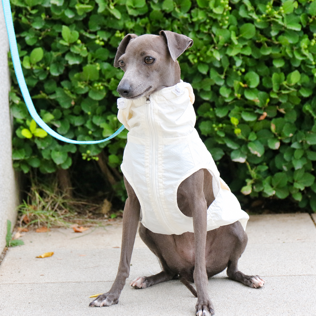 Lightweight Waterproof Sun Vest for Italian Greyhounds and Whippets – Thin Summer Dog Vest, S to 4XL