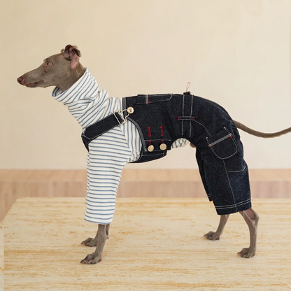 Side view of a grey dog in dark indigo denim overalls with silver buttons, white stitching and rear-leg coverage, worn over a separate striped top.